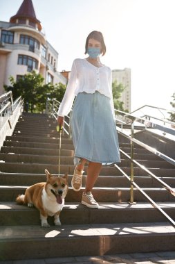 Beyaz kız Corgi 'nin köpeğiyle merdivenlerden iniyor. Tıbbi maske takan genç bir kadın. Sahibi ve evcil hayvan ilişkisi ve dostluğu. Covid-19 salgını sırasında sağlık koruması. Sıcak güneşli bir gün.