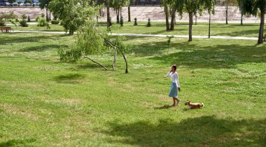 Parktaki yeşil çimlerde sevimli Corgi köpeğini gezdiren genç, gülümseyen beyaz kız. İnsan ve hayvan arasındaki ilişki kavramı. Sahiplik ve evcil hayvan arkadaşlığı fikri. Güneşli yaz günü