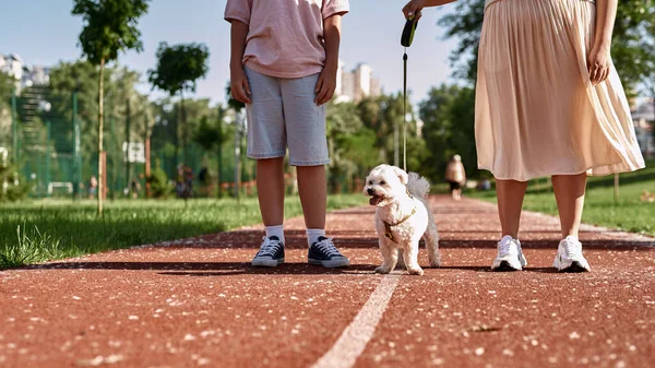Madre Hijo Recortados Paseando Perro Maltés Peludo Pista Atletismo Parque — Foto de Stock