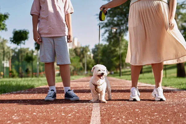 Partial Mother Son Walking Cute Furry Maltese Dog Running Track — Stock Photo, Image