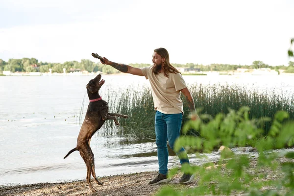 Caucasian Man Training His Adorable Kurzhaar Dog Catching Stick River — Stock Photo, Image