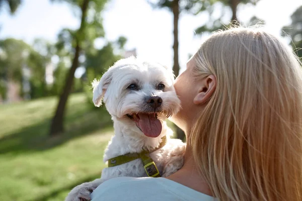 Partial Blonde Girl Hugging Her Beautiful Furry Maltese Dog Blurred — Stock Photo, Image