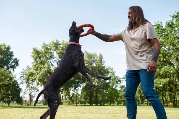 Caucasian Man Playing Kurzhaar Dog Dog Rubber Ring Green Lawn — Stock Photo, Image