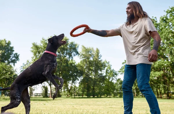 Bottom Side View Caucasian Man Training His Kurzhaar Dog Catching — Stock Photo, Image