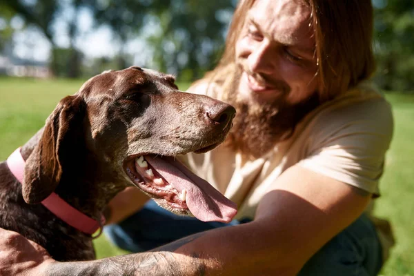 Bearded Hairy Caucasian Man Caressing His Kurzhaar Dog Meadow Green — Stock Photo, Image