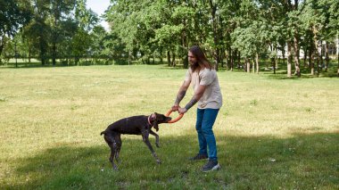 Parktaki yeşil çayırda köpek lastiği halkalı Kurzhaar köpeğini eğiten beyaz adamın yan görüntüsü. İnsan ve hayvan arasındaki ilişki kavramı. Sahiplik ve evcil hayvan arkadaşlığı fikri. Güneşli yaz günü