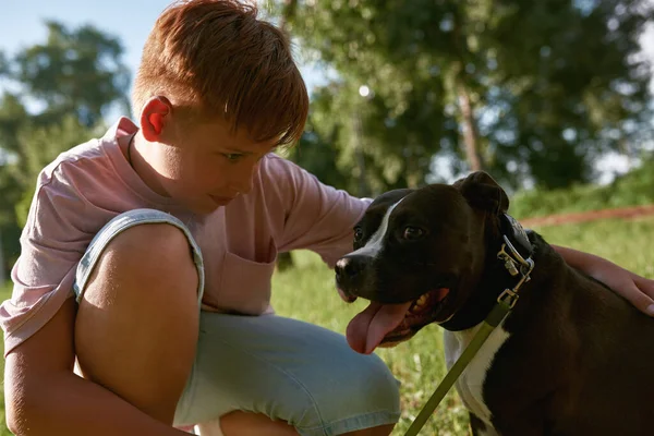 Європейський Хлопчик Обіймає Дивиться Собаку Буйвола Стаффордшира Зеленому Газоні Парку — стокове фото