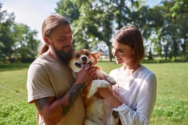 Young Caucasian Couple Holding Caressing Her Cute Corgi Dog Green — Stock Photo, Image