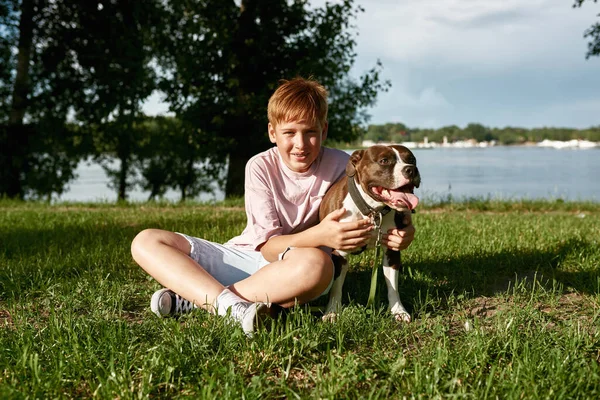 Посміхнений Хлопчина Який Обіймає Свого Собаку Булл Тер Єра Стаффордшира — стокове фото