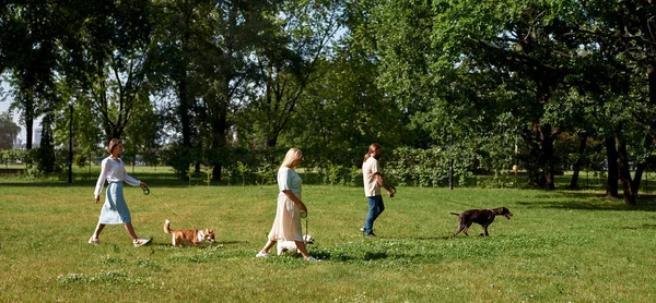 Pohled Tři Bělochy Kteří Venčí Své Psy Zelené Louce Parku — Stock fotografie