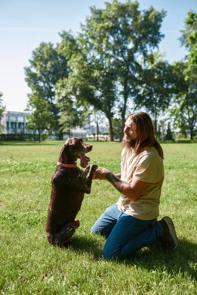 Side View Smiling Caucasian Man Teaching His Kurzhaar Dog Sit — Stock Photo, Image