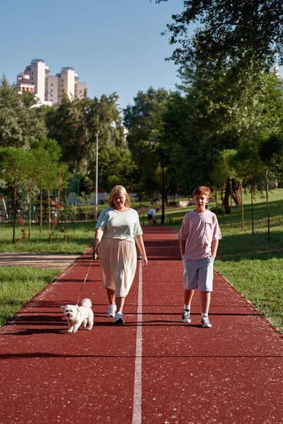 Madre Hijo Europeos Paseando Peludo Perro Maltés Pista Atletismo Parque — Foto de Stock