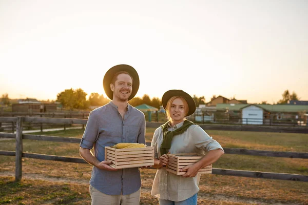 Young smiling caucasian farmer couple holding wooden baskets with organic corn near paddock in village or ranch. Fresh harvest. Modern farm lifestyle. Agriculture. Countryside landscape. Sunset time