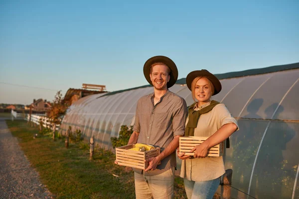 Young caucasian farmer couple hold wooden baskets with organic corn and carrot and look at camera near greenhouse in village. Fresh harvest. Modern farm lifestyle. Agriculture. Countryside landscape