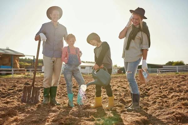 Mother, father and daughter looking at son watering seeds in ground hole on field on ranch or farm. Young caucasian hipster family. Eco harvest. Modern countryside lifestyle. Agriculture. Sunny day