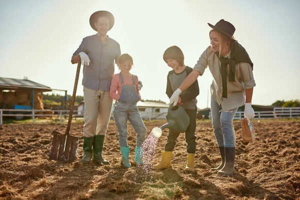 Father and daughter looking at mother helping son watering seeds in ground hole on plow field on ranch or farm. Young caucasian hipster family. Eco harvest. Modern countryside lifestyle. Agriculture