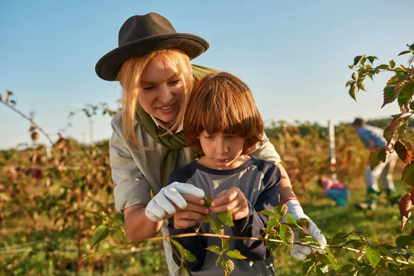 Caucasian Mother Teaching Son Checking Fruit Plant Leaves Branches Countryside — Stock Photo, Image
