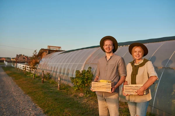 Young smiling caucasian farmer couple holding wooden baskets with organic corn and carrot near greenhouse in village. Fresh eco harvest. Modern farm lifestyle. Agriculture. Countryside landscape
