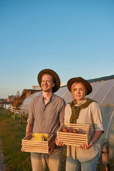 Young smiling caucasian farmer couple holding wooden baskets with fresh harvest of organic corn and carrot near greenhouse in village. Modern farm lifestyle. Agriculture. Countryside landscape