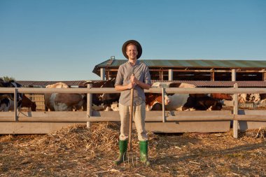 Front view of smiling male farmer with pitchfork standing near paddock with milk cows on farm. Young caucasian man looking at camera. Modern hipster countryside lifestyle. Agriculture. Warm sunny day clipart