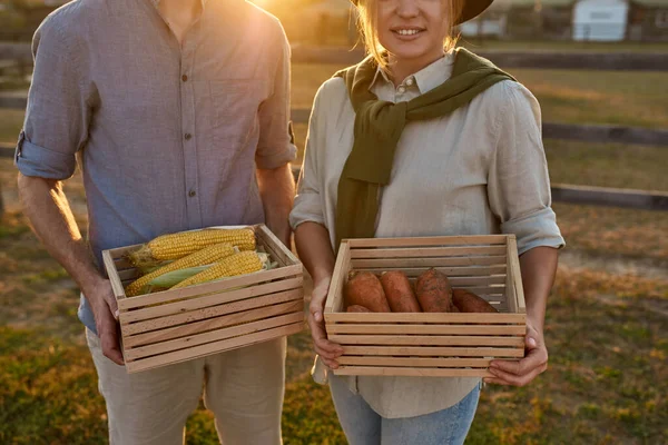 Cropped view of farmer couple hold wooden baskets with organic corn and carrot near paddock in village or ranch. Fresh harvest. Modern farm lifestyle. Agriculture. Countryside landscape. Sunset time