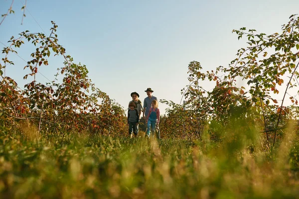 Joven Familia Europea Feliz Caminando Comprobando Las Plantas Frutales Jardín —  Fotos de Stock