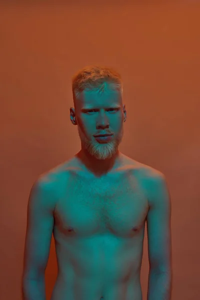 Front view of confident albino caucasian guy looking at camera. Young modern bearded blonde man of generation Z with naked torso. Isolated on orange background. Studio shoot. Copy space