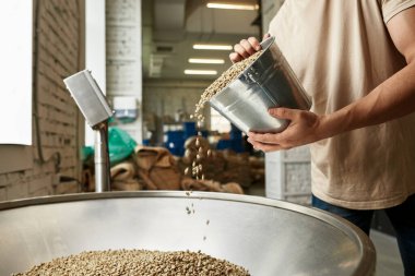 Yarı erkek işçi ya da işadamı kahve çekirdeklerini fabrikaya metal öğütücüyle döküyor. Kahve yapımı ve üretimi. Küçük bir iş. Modern üretim ekipmanları