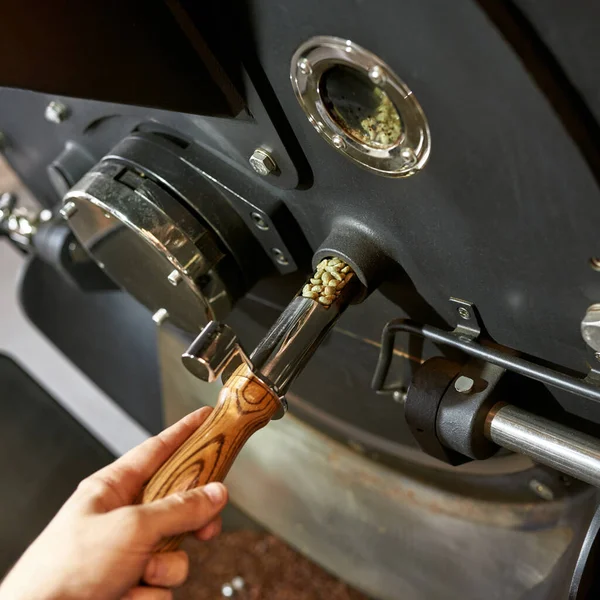 Cropped Male Barista Worker Pouring Out Coffee Beans Roasting Machine — Photo