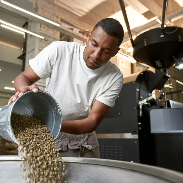 Jovem Focado Trabalhador Masculino Preto Empresário Derramando Grãos Café Verde — Fotografia de Stock