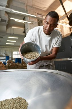 Genç siyah erkek işçinin ya da baristanın yeşil kahve çekirdeklerini metal öğütücüye dökerkenki görüntüsü. Kahve yapımı ve üretimi. Küçük bir iş. Modern üretim ekipmanları