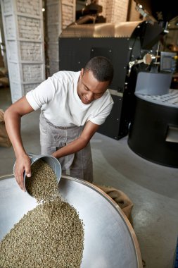 Genç, gülümseyen siyah erkek işçi ya da barista metal öğütücüye kovayla taze yeşil kahve çekirdeği döküyor. Kahve yapımı ve üretimi. Küçük bir iş. Modern üretim ekipmanları