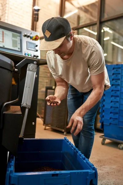 Trabalhador Masculino Verificando Grãos Café Depois Assar Máquina Café Industrial — Fotografia de Stock