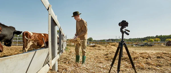 Agricoltore Maschio Adolescente Caucasico Che Prende Video Alimentazione Delle Mucche — Foto Stock