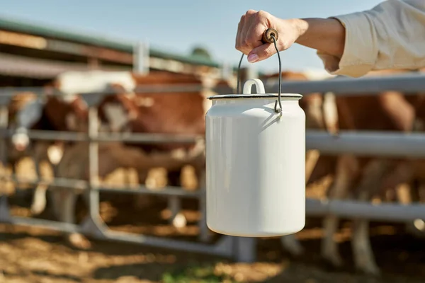 Selective focus of milk can in hand of cropped female farmer. Blurred herd of cattle in paddock on background. Concept of modern countryside lifestyle. Agriculture and farming. Sunny day