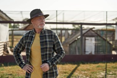 Gri saçlı erkek çiftçi çiftlikte ya da çiftlikte poz veriyor ve uzaklara bakıyor. Odaklanmış, elleri kalçasında, şapkalı, beyaz bir adam. Modern kırsal yaşam tarzı kavramı. Tarım. Sıcak güneşli bir gün.