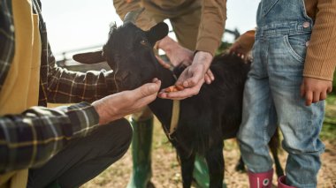 Cropped view of grandfather with grandchildren feeding black goat with carrot on farm. Concept of modern countryside lifestyle. Idea of domestic animal care. Agriculture and farming. Warm sunny day