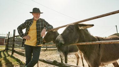 Gülümseyen Kafkasyalı olgun erkek çiftçi elleri kalçasında çiftlikteki çayırlarda eşeğe bakıyor. Modern kırsal yaşam tarzı kavramı. Evcil hayvan bakımı fikri. Tarım ve tarım. Güneşli bir gün