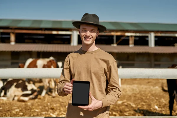 Smiling male farmer showing digital tablet with blurred milk cows in paddock on background on farm. Young caucasian guy looking at camera. Modern countryside lifestyle. Agriculture. Sunny day