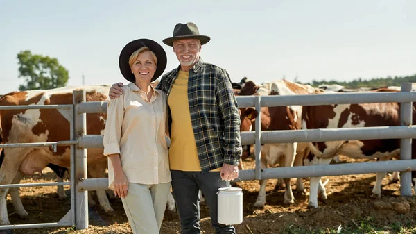 Smiling senior european farmer couple hugging and looking at camera near paddock with milk cows on farm or ranch. Man holding milk can. Modern countryside lifestyle. Agriculture and farming. Sunny day