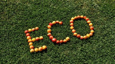 Top view of Eco word from organic apples on green lawn on farm or countryside. Fresh harvest. Modern ecological and natural agriculture. Environmental sustainability. Nobody. Sunny day
