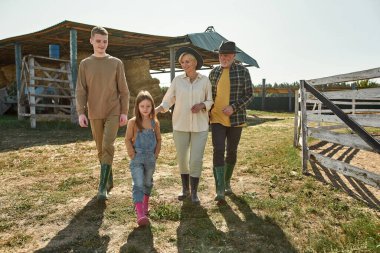 Orta yaşlı büyükanne ve büyükbaba çiftlikte torunlarıyla yürüyüp vakit geçiriyorlar. Kafkas aile ilişkiniz kutlu olsun. Modern kırsal yaşam tarzı. Tarım. Sıcak güneşli bir gün.