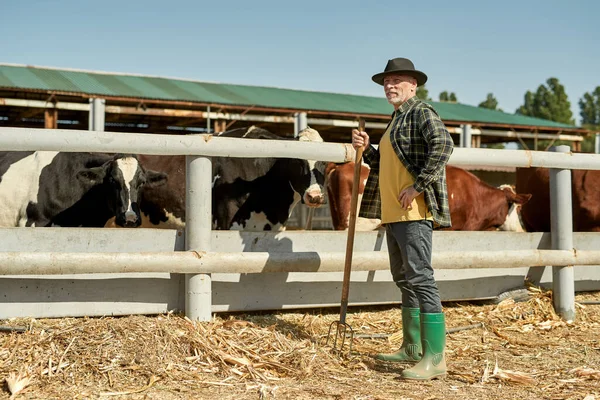 Agricultor Masculino Maduro Com Ancinho Olhando Para Longe Perto Paddock — Fotografia de Stock