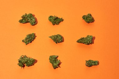Turuncu arka planda izole edilmiş yeşil, ezilmiş marihuana tomurcukları. Hafif uyuşturucu ve bağımlılık. Bitkisel ilaç ve ağrı kesici tedavisi kavramı. Doğal ev yapımı organik kenevir. Boşluğu kopyala