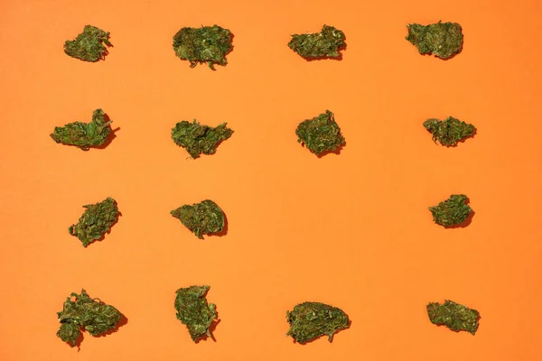 Set Green Dry Crushed Marijuana Buds Isolated Orange Background Legalized — Stock Photo, Image