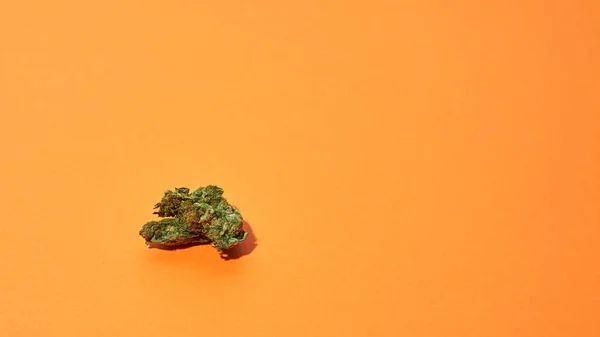 Groene Gedroogde Marihuana Knop Geïsoleerd Oranje Achtergrond Lichte Drug Verslaving — Stockfoto