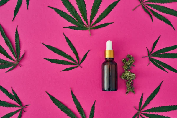 Groene Bladeren Knoppen Van Marihuana Met Fles Met Essentiële Cannabinoïde — Stockfoto