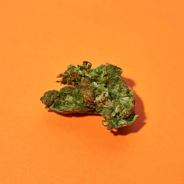 Green Dried Marijuana Bud Isolated Orange Background Light Drug Addiction — Fotografia de Stock