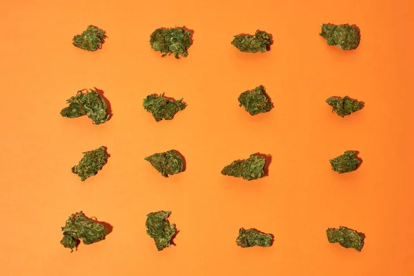 Collection Green Dry Crushed Marijuana Buds Isolated Orange Background Light — Stock Photo, Image
