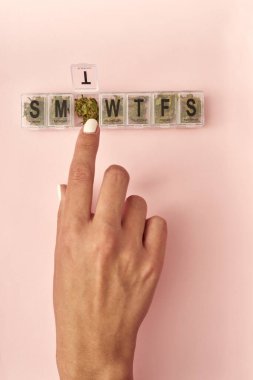 Partial image of woman hand taking dry marijuana bud from opened smtwtfs plastic package. Light drug and addiction. Herbal medicine and painkiller therapy. Natural organic cannabis. Beige background